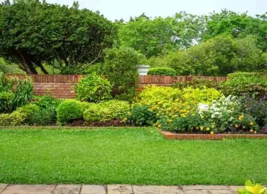 landscaping services Paramount-Long Meadow